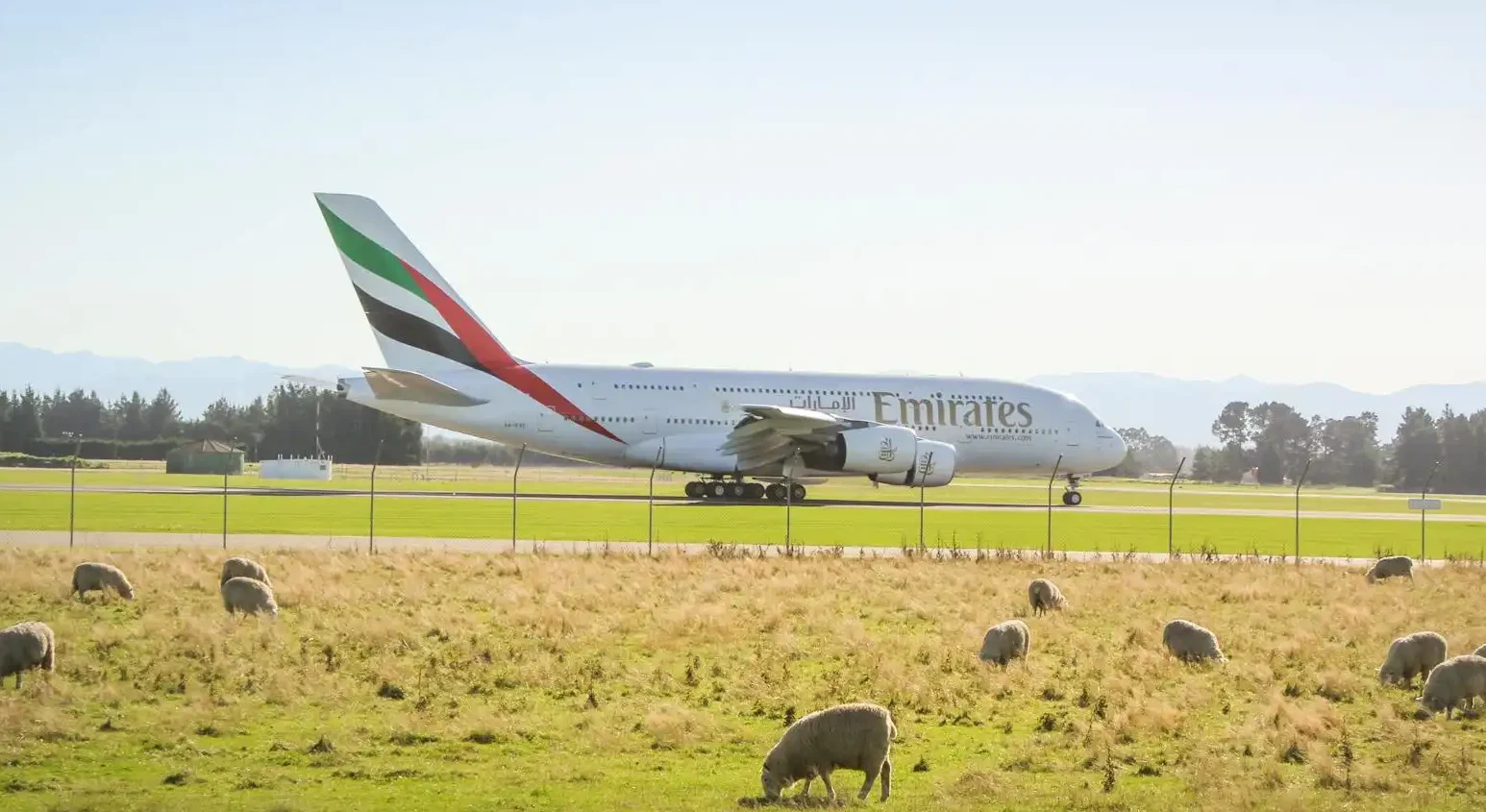 rural areas serviced by one airline